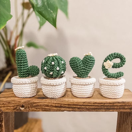 Cactus Love Crochet Pattern