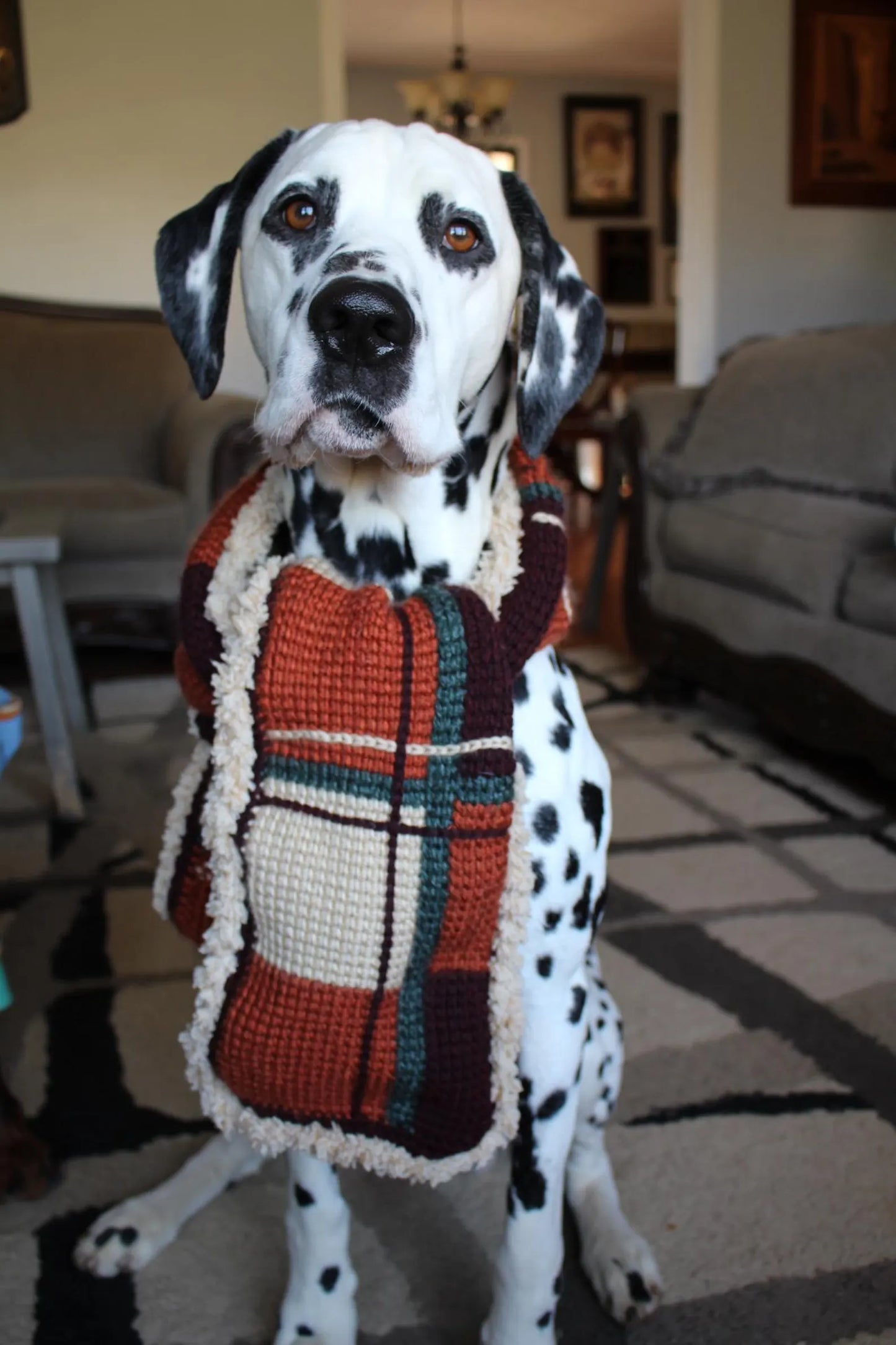 Cozy Fall Flannel No-Sew Tunisian Crochet Blanket