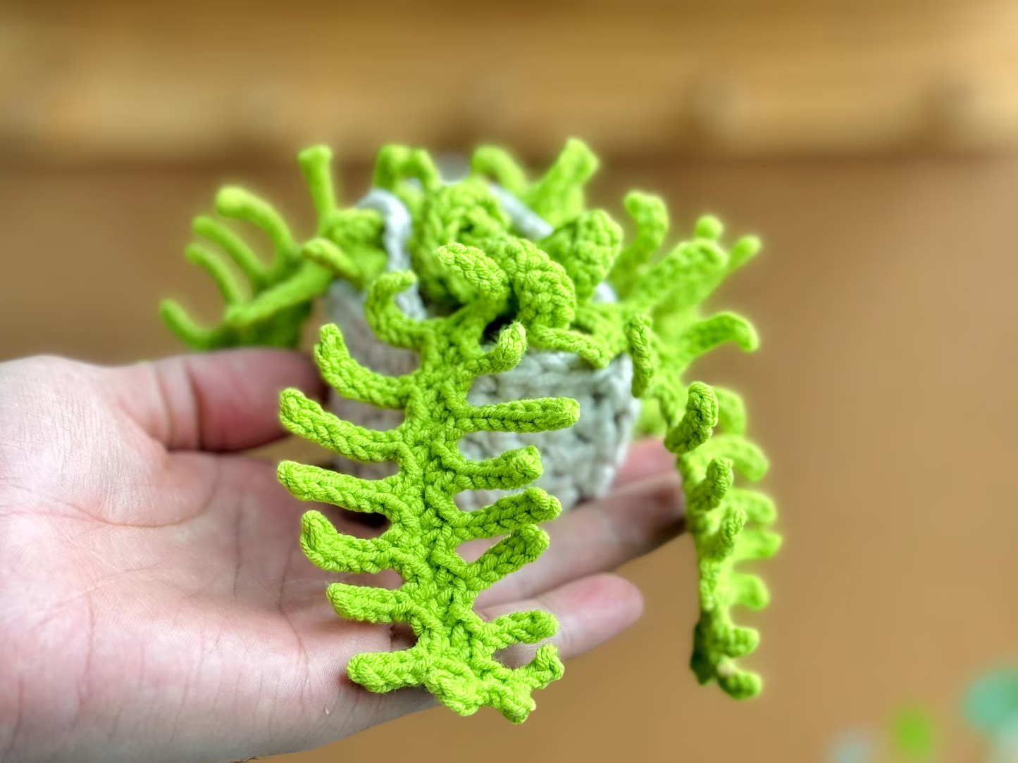 Hanging Plant Decoration - Crochet Pattern