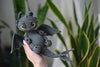 Black Dragon Amigurumi Crochet Pattern